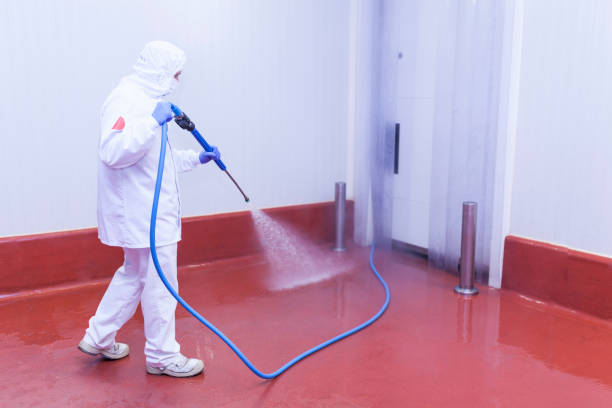 Paint Preparation in Brookshire, TX