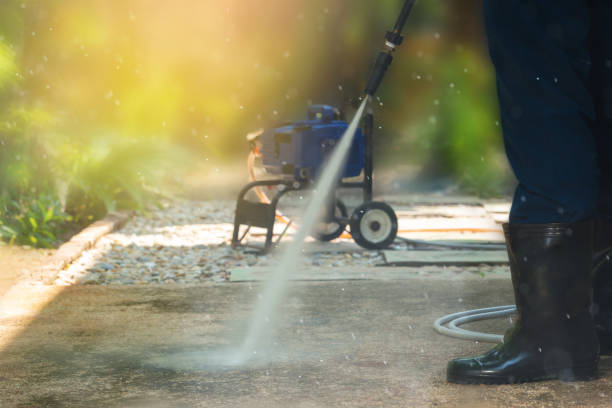 Animal Enclosure Cleaning in Brookshire, TX